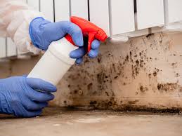 Best Mold Remediation for Healthcare Facilities  in Turners Falls, MA